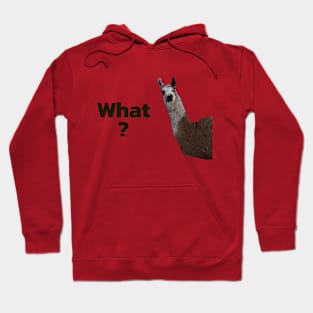 Llama Hoodie